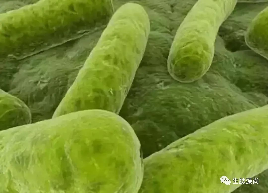 看一看补硒对人的好处(补硒的好处)-硒宝网