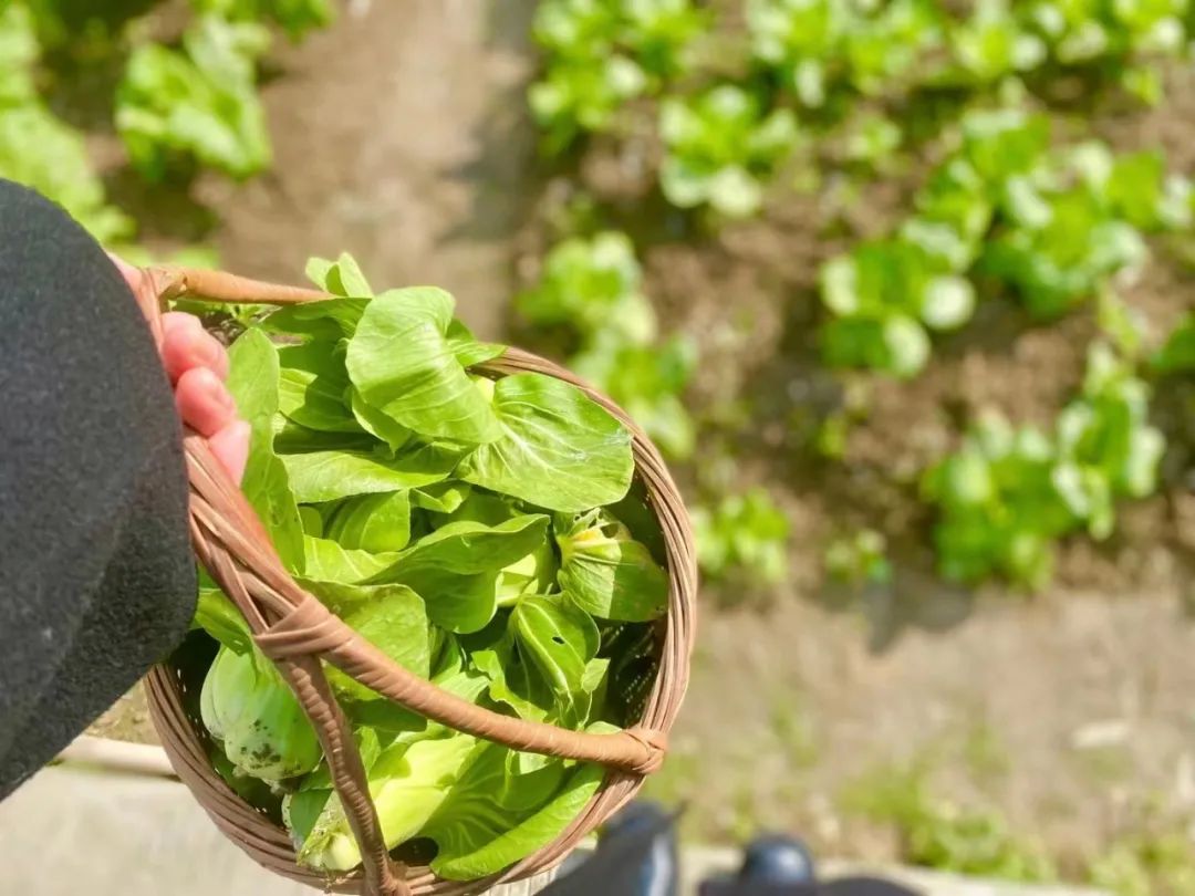 补硒和叶酸能一起吃吗（坚持吃硒和叶酸）-硒宝网