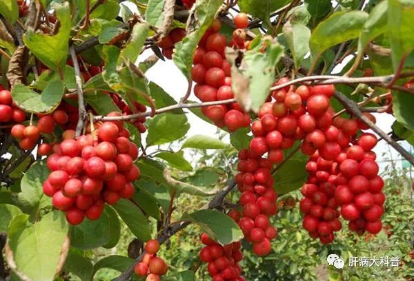 补硒后会不会有疼痛感(补硒会肚子疼吗)-硒宝网