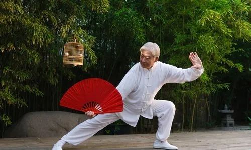 哪些维生素补硒好一点（维生素硒吃什么）-硒宝网