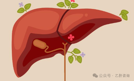 乙肝小三阳需要补硒吗(乙肝小三阳需要吃护肝保健品吗)-硒宝网