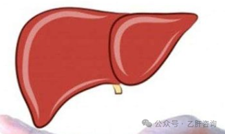 乙肝小三阳需要补硒吗(乙肝小三阳需要吃护肝保健品吗)-硒宝网