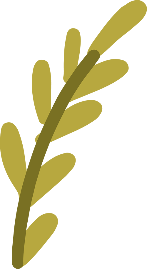 孕妇必须补铁吗(孕妇补铁药)-硒宝网