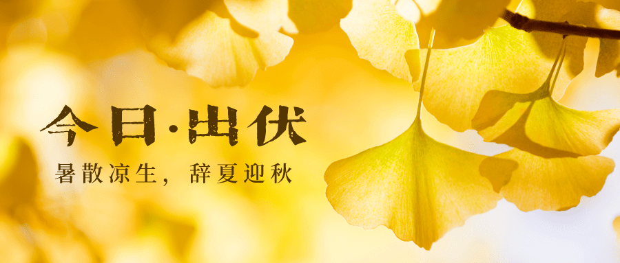 哪种补硒保健品好一点(补硒保健品排行榜2018)-硒宝网