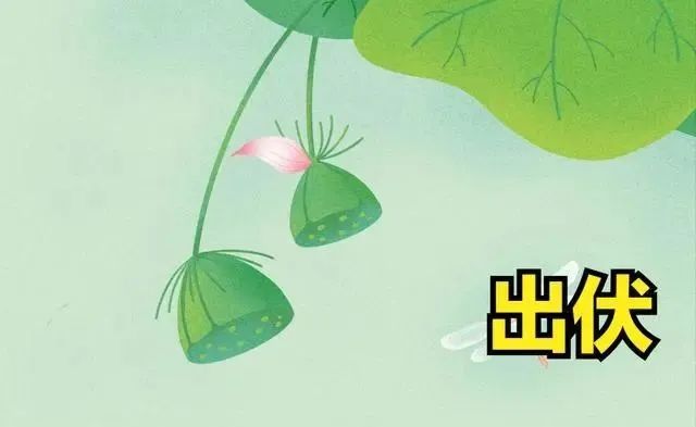 哪种补硒保健品好一点(补硒保健品排行榜2018)-硒宝网