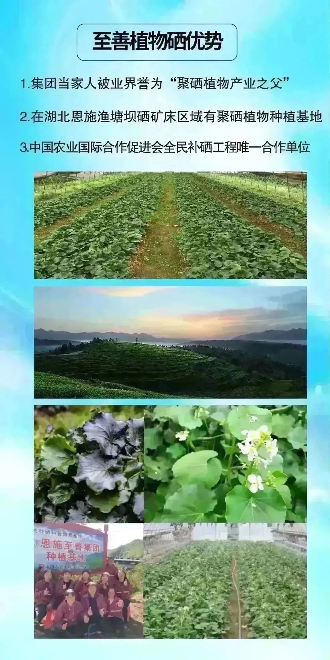 糖尿病人补硒的最大量（病人补糖尿大量硒会怎么样）-硒宝网