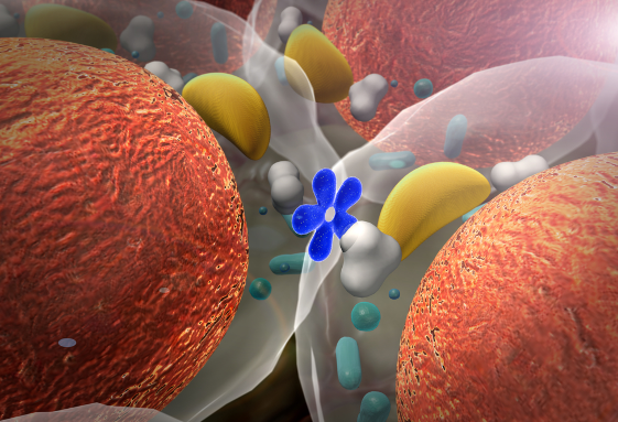 糖尿病人补硒的最大量（病人补糖尿大量硒会怎么样）-硒宝网