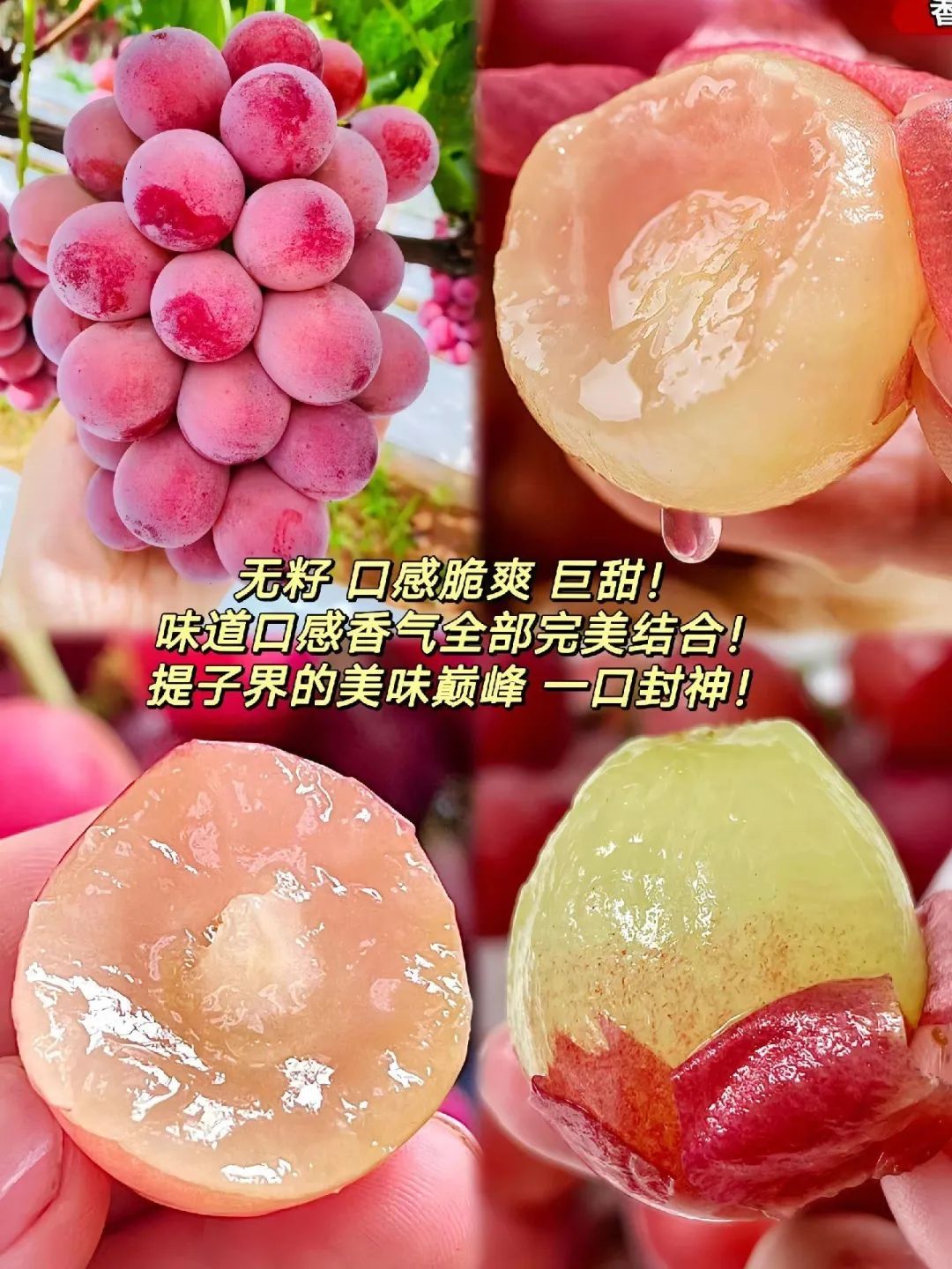 儿童补铁哪个牌子好(儿童补铁品牌)-硒宝网