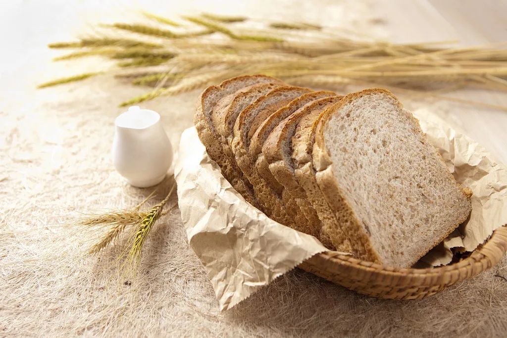 狗能补人吃的硒吗百度（狗狗缺硒）-硒宝网