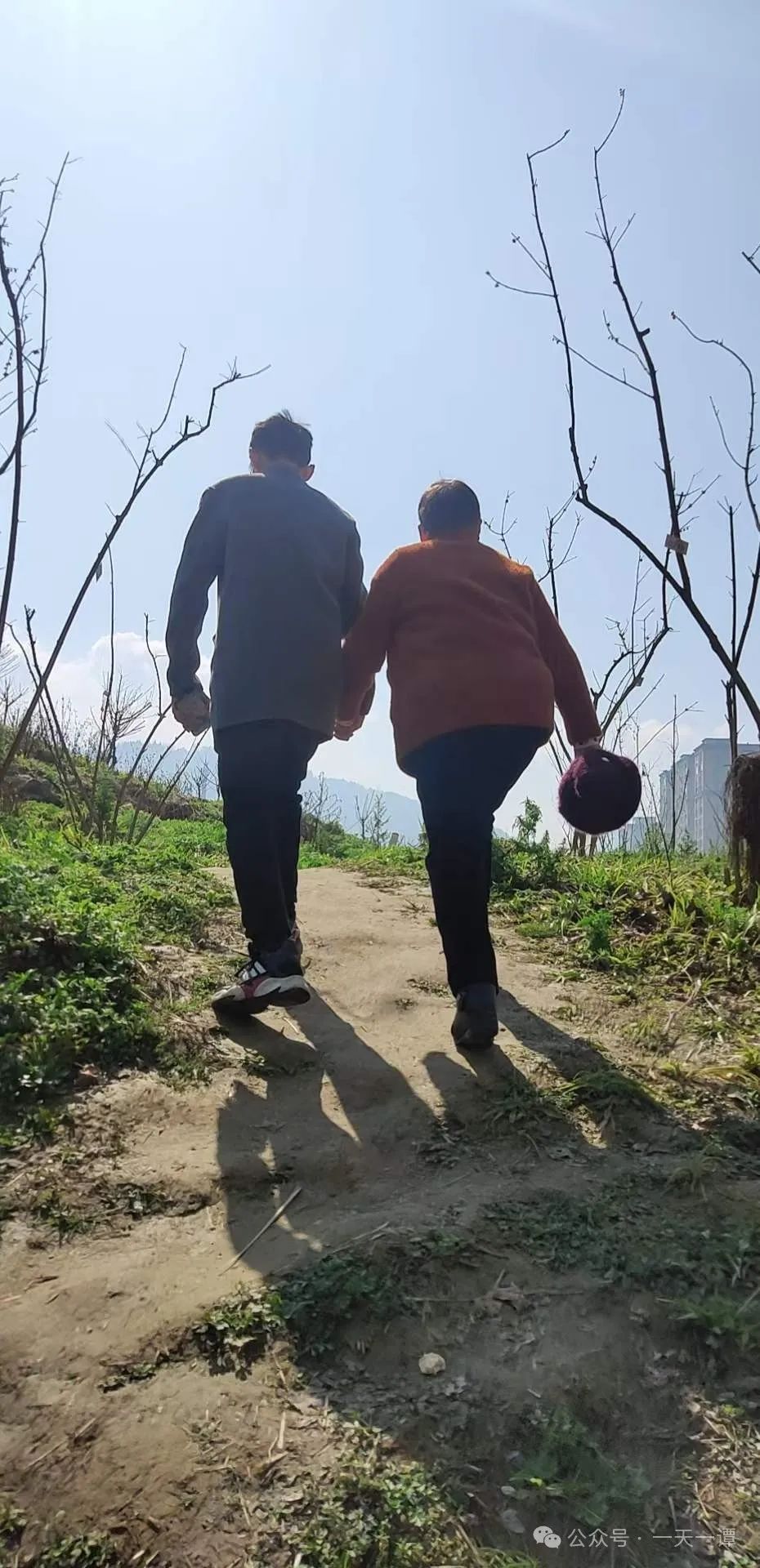 一个人一天要补多少硒(补硒一天最多量是多少)-硒宝网