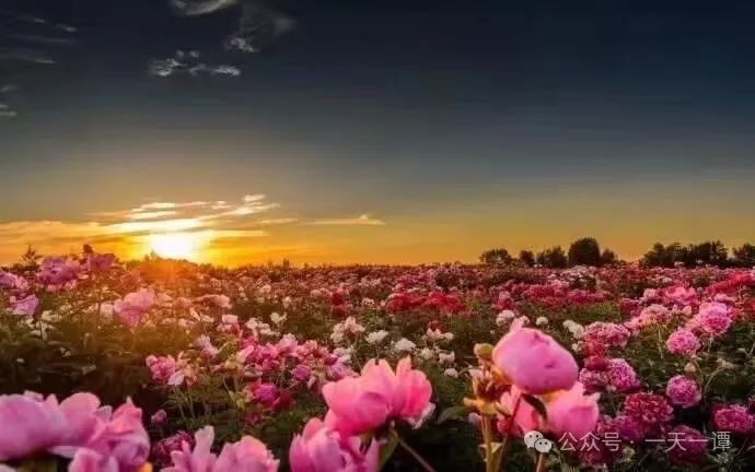 一个人一天要补多少硒(补硒一天最多量是多少)-硒宝网