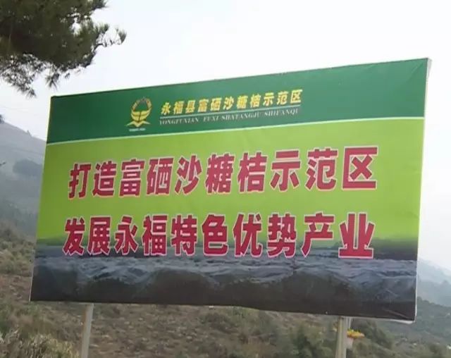 加强富硒产品研究开发(大力发展富硒产业)-硒宝网