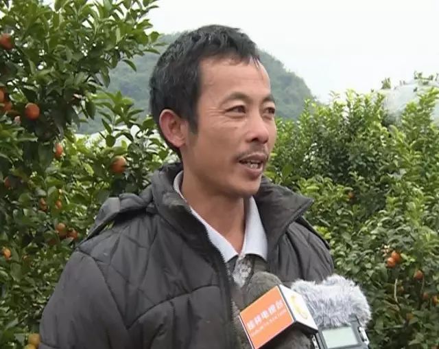 加强富硒产品研究开发(大力发展富硒产业)-硒宝网