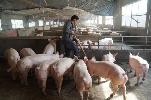 加强富硒产品研究开发(大力发展富硒产业)-硒宝网