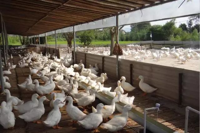 加强富硒产品研究开发(大力发展富硒产业)-硒宝网