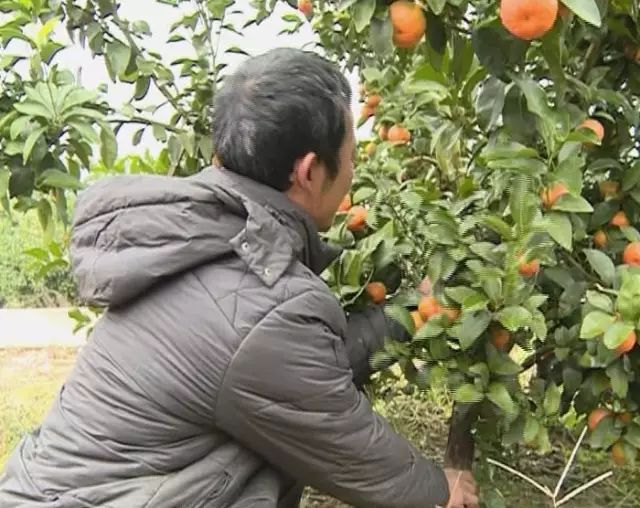 加强富硒产品研究开发(大力发展富硒产业)-硒宝网