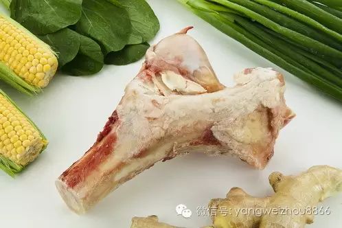 筒子骨汤补钙吗(骨头汤能补钙的钙是指什么)-硒宝网