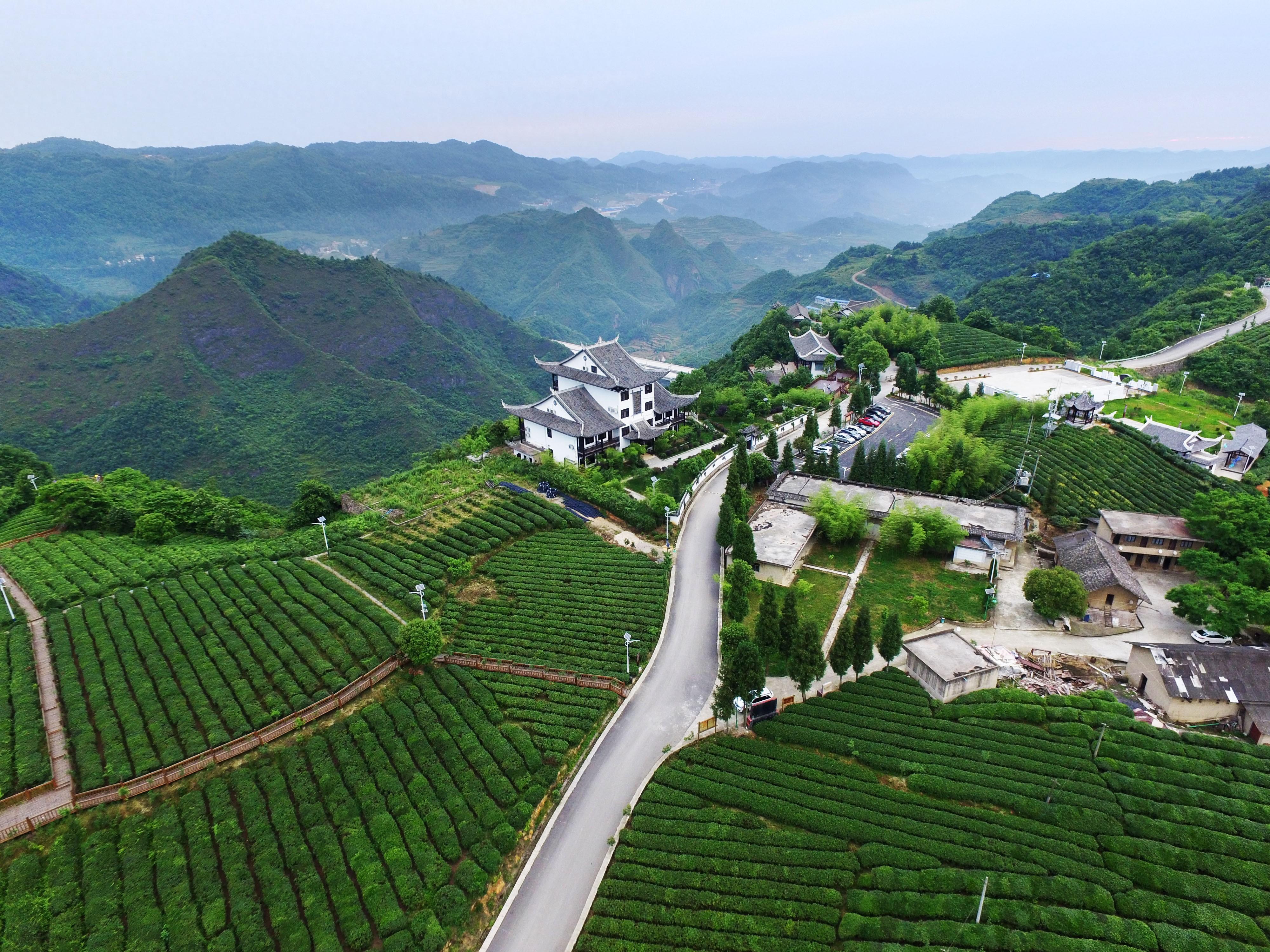 开阳富硒产品销往何处（开阳富硒茶怎么样）-硒宝网