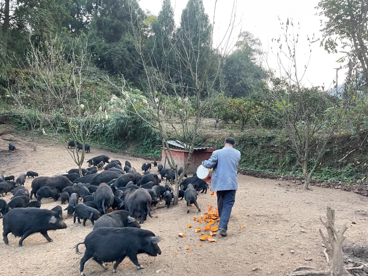 开阳富硒产品销往何处（开阳富硒茶怎么样）-硒宝网