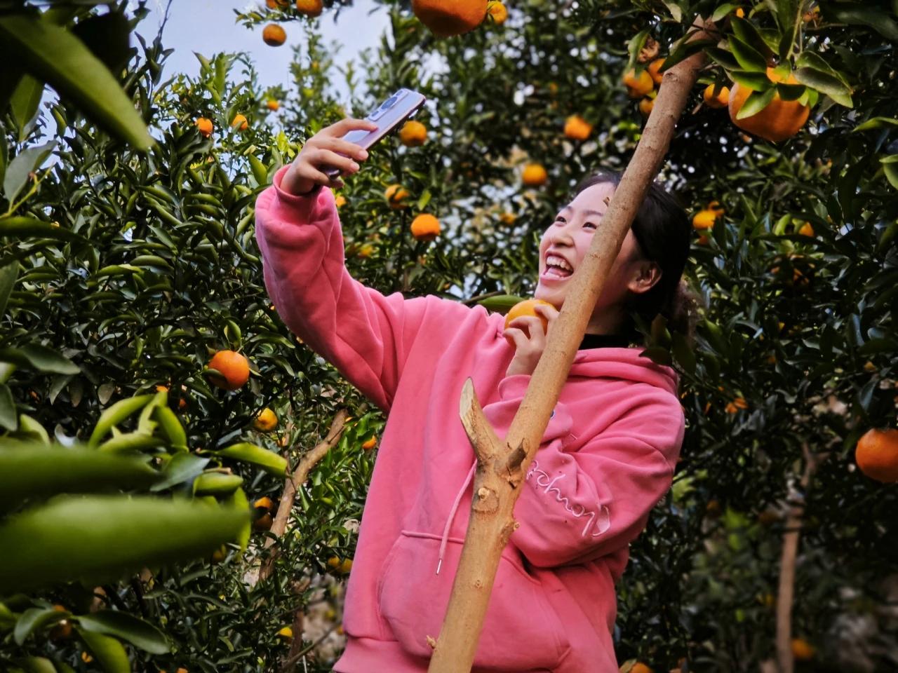 开阳富硒产品销往何处（开阳富硒茶怎么样）-硒宝网