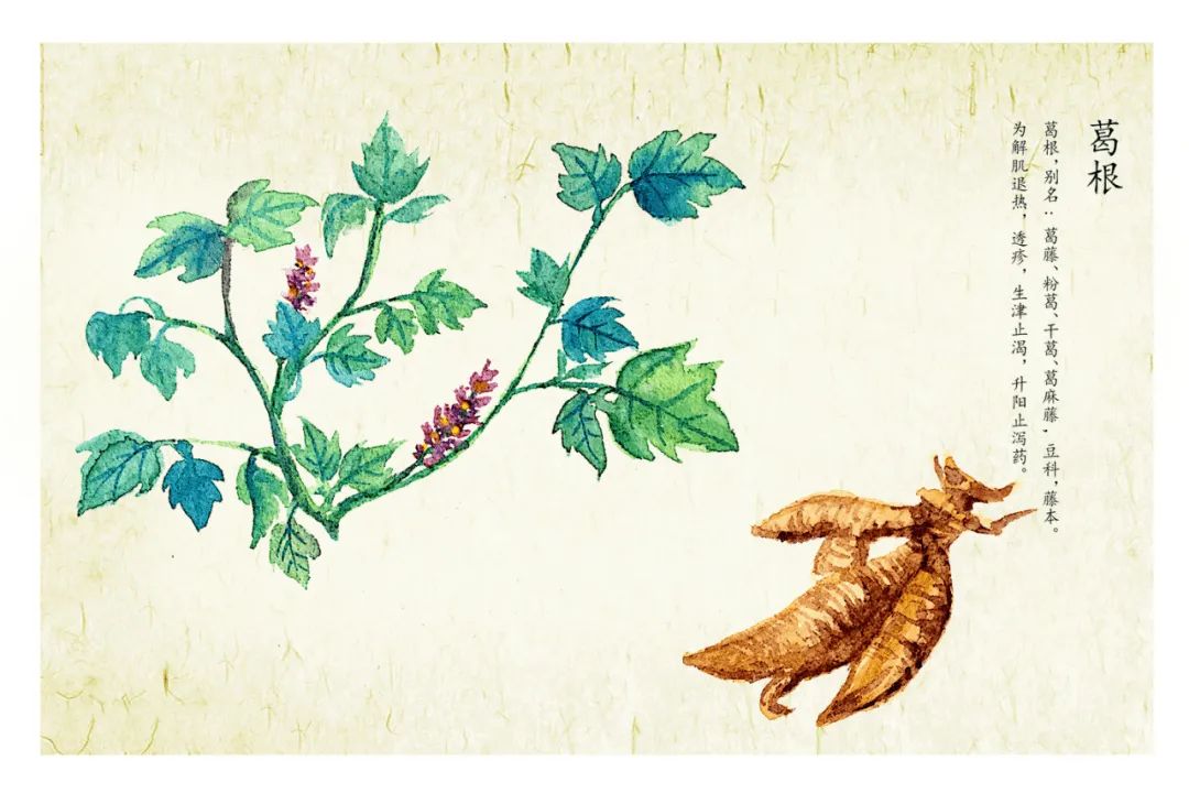 湖北生物公司富硒产品（湖北省富硒产业研究院）-硒宝网