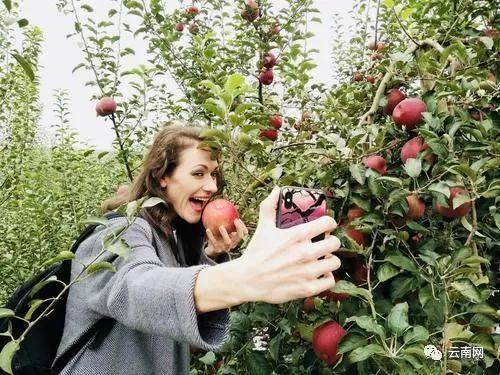 云南有哪些富硒产品好(云南富硒好产品有那些)-硒宝网