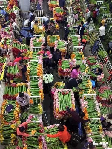 云南有哪些富硒产品好(云南富硒好产品有那些)-硒宝网