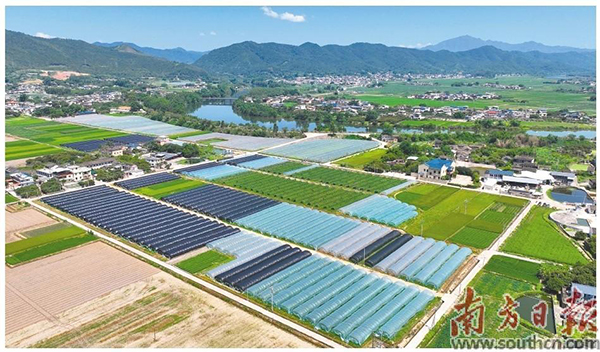 企业如何做好富硒产品(富硒好做企业产品吗)-硒宝网