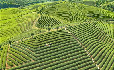 企业如何做好富硒产品(富硒产品前景)-硒宝网