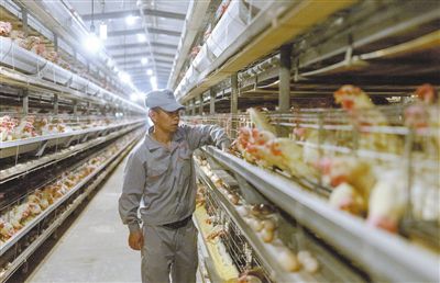 企业如何做好富硒产品(富硒产品前景)-硒宝网