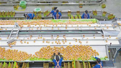 企业如何做好富硒产品(富硒产品前景)-硒宝网