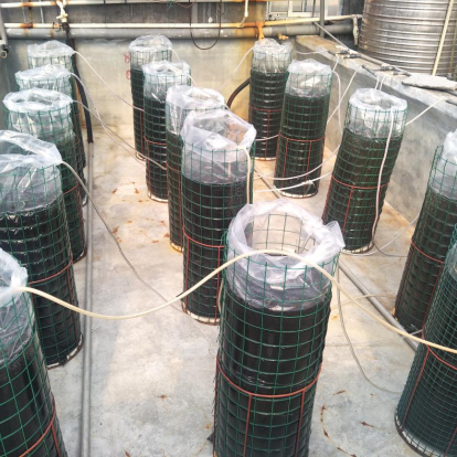 富硒产品市场前景论文(富硒农产品市场需求)-硒宝网