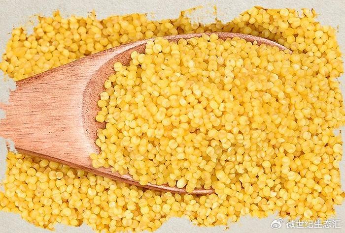 富硒的猪肉产品是什么(猪肉富硒产品是什么)-硒宝网