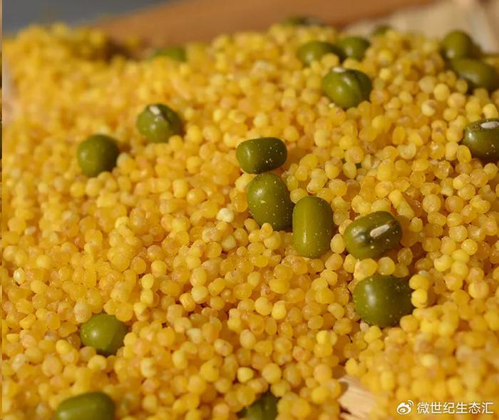 富硒的猪肉产品是什么(猪肉富硒产品是什么)-硒宝网