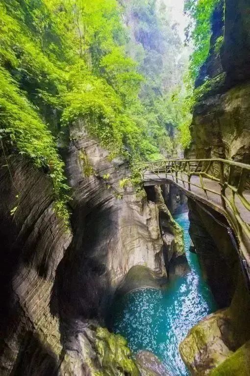 恩施十大富硒产品基地(湖北恩施富硒产品有多少种)-硒宝网