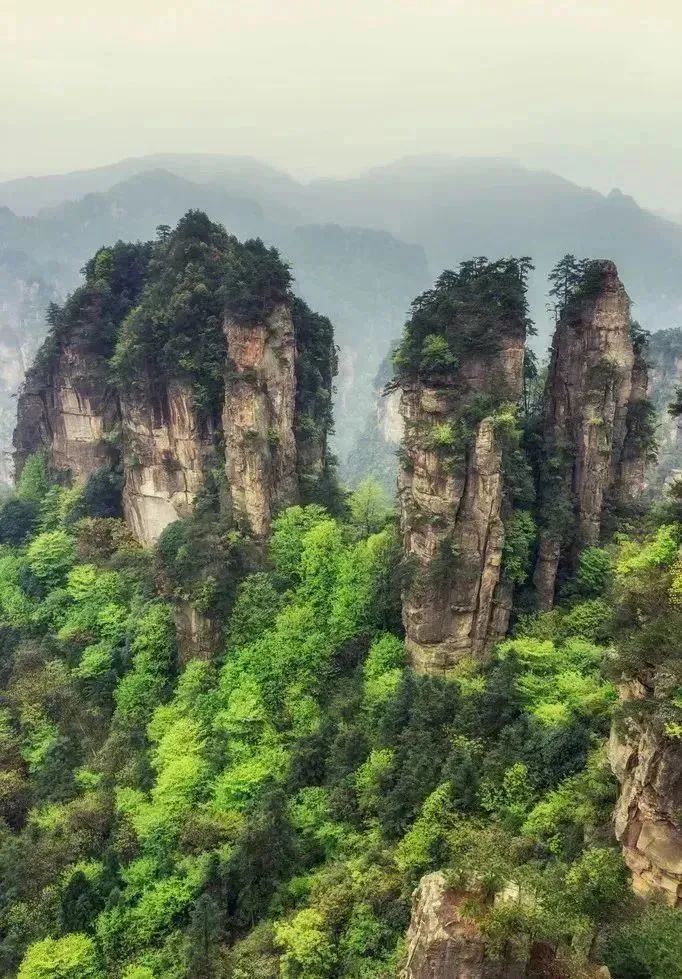 恩施十大富硒产品基地(湖北恩施富硒产品有多少种)-硒宝网