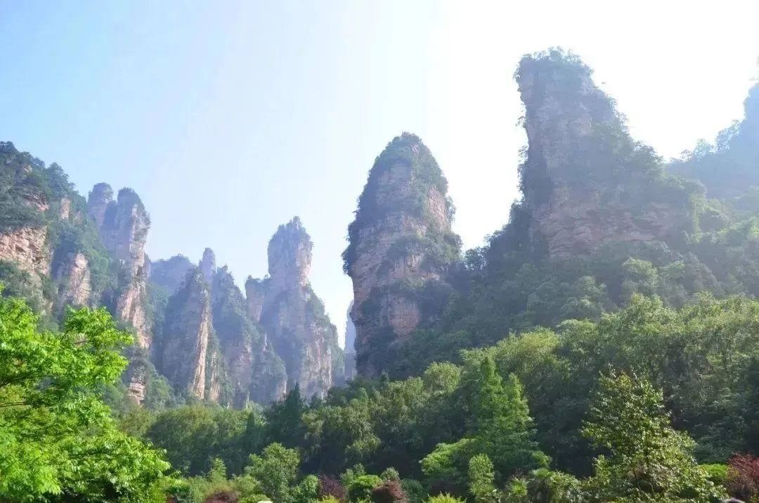 恩施十大富硒产品基地(湖北恩施富硒产品有多少种)-硒宝网