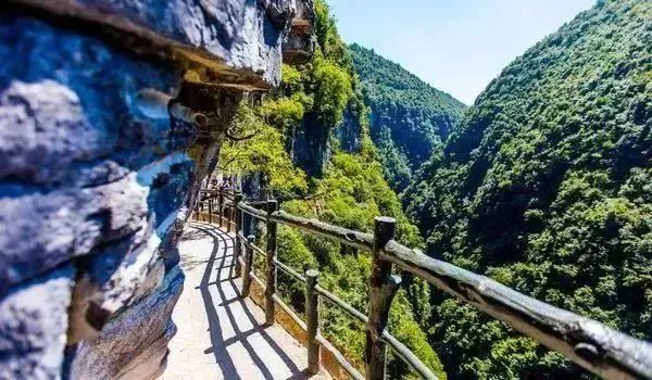 恩施十大富硒产品基地(湖北恩施富硒产品有多少种)-硒宝网