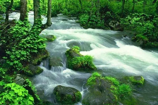 恩施十大富硒产品基地(湖北恩施富硒产品有多少种)-硒宝网