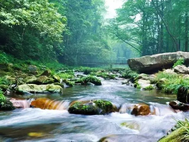 恩施十大富硒产品基地(湖北恩施富硒产品有多少种)-硒宝网