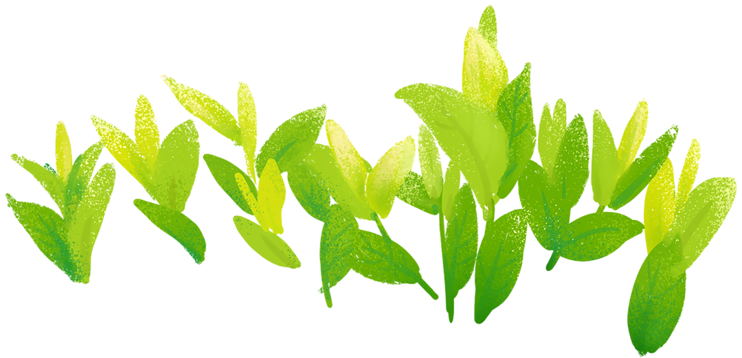 恩施十大富硒产品基地(湖北恩施富硒产品有多少种)-硒宝网