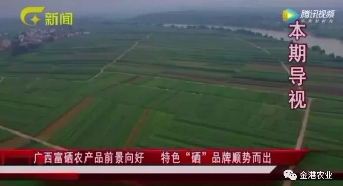 富硒农产品的消费情况(富硒农副产品特点)-硒宝网