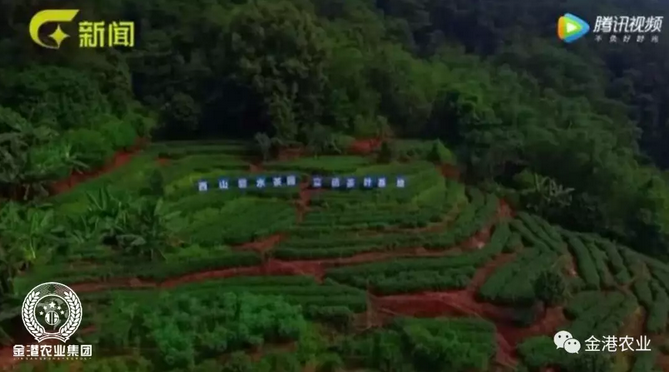 富硒农产品的消费情况(富硒农副产品特点)-硒宝网