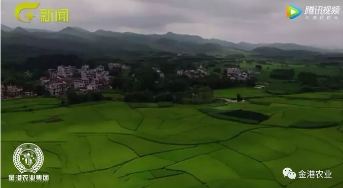 富硒农产品的消费情况(富硒农副产品特点)-硒宝网