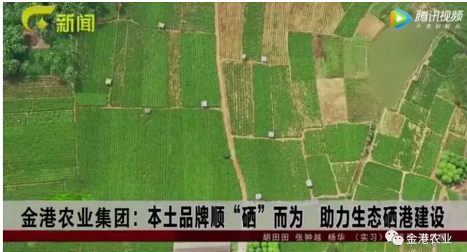 富硒农产品的消费情况(富硒农副产品特点)-硒宝网