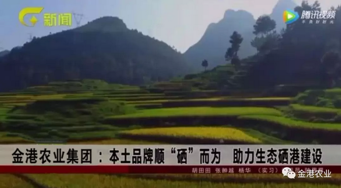 富硒农产品的消费情况(富硒农副产品特点)-硒宝网