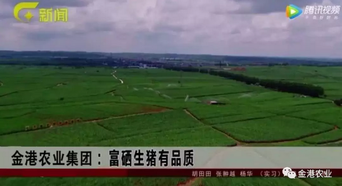 富硒农产品的消费情况(富硒农副产品特点)-硒宝网