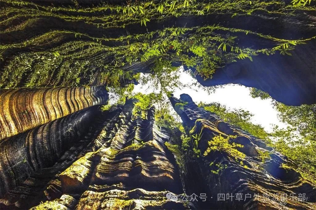 恩施十大富硒产品基地(恩施富硒产品是传销吗)-硒宝网