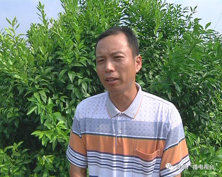 富硒农产品的种植技术(富硒农业种植的三大特点)-硒宝网