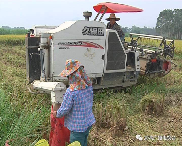 富硒农产品的种植技术(富硒农业种植的三大特点)-硒宝网